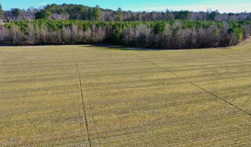 Photo #39 of SOLD property in Off Halls Creek Rd, Elizabeth City, NC 75.6 acres