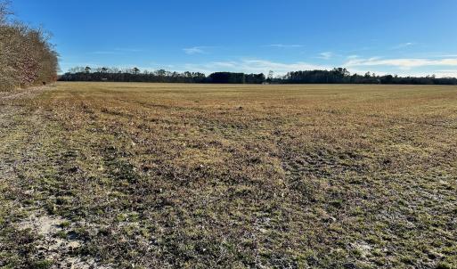 Photo #46 of SOLD property in Off Halls Creek Rd, Elizabeth City, NC 75.6 acres