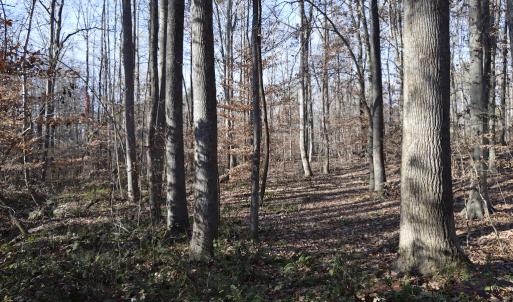 Photo #20 of SOLD property in 334 Westview Drive, Gibsonville, NC 2.9 acres