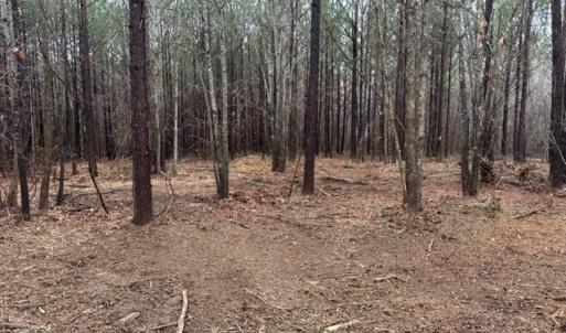 Photo #28 of SOLD property in Off Pony Farm Drive, Siler City, NC 8.1 acres
