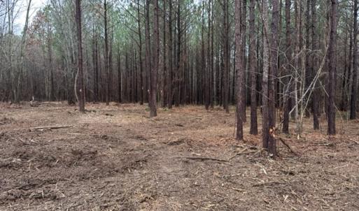 Photo #31 of SOLD property in Off Pony Farm Drive, Siler City, NC 8.1 acres