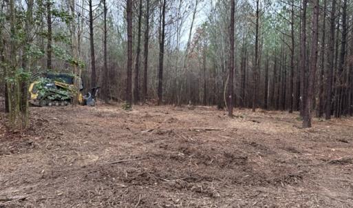 Photo #32 of SOLD property in Off Pony Farm Drive, Siler City, NC 8.1 acres