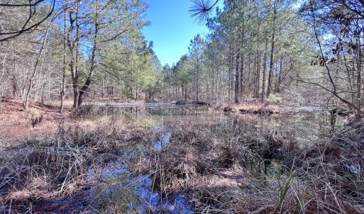 Photo #14 of Off Rehoboth Church Rd, Jackson, NC 162.7 acres