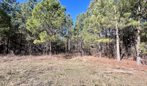 Photo #8 of Off Rehoboth Church Rd, Jackson, NC 162.7 acres