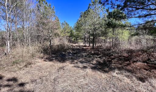 Photo #34 of Off Rehoboth Church Rd, Jackson, NC 162.7 acres