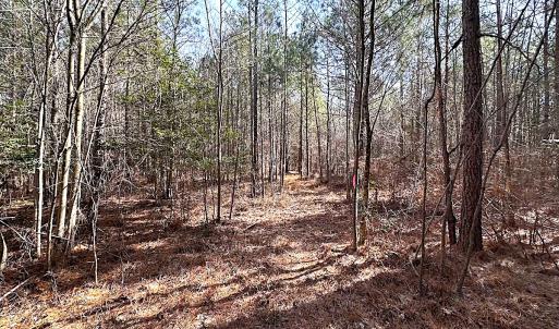 Photo #32 of SOLD property in Off Black Creek Rd, Sedley, VA 36.0 acres
