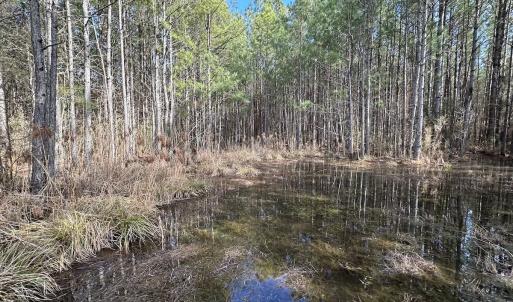 Photo #42 of SOLD property in Off Black Creek Rd, Sedley, VA 37.0 acres