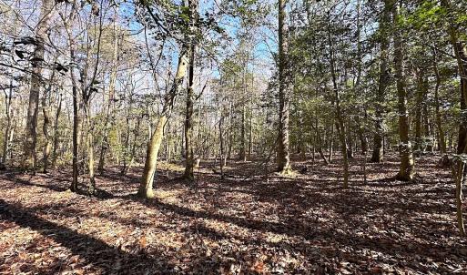 Photo #12 of SOLD property in Off Tuckers Road, Shacklefords, VA 25.5 acres