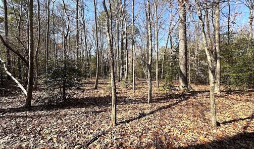 Photo #32 of SOLD property in Off Tuckers Road, Shacklefords, VA 25.5 acres