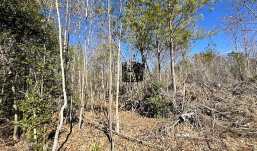 Photo #12 of SOLD property in Off Deer Ridge Rd, Spring Grove, VA 29.9 acres