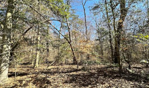 Photo #17 of SOLD property in Off Deer Ridge Rd, Spring Grove, VA 29.9 acres