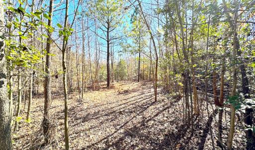 Photo #26 of SOLD property in Off Deer Ridge Rd, Spring Grove, VA 29.9 acres