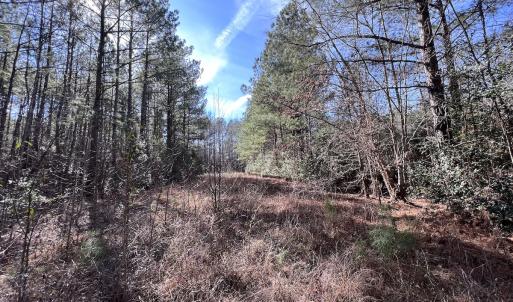 Photo #45 of 657 Collins Mill Rd, Castalia, NC 104.8 acres