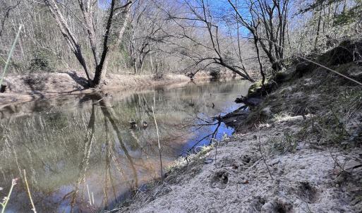 Photo #77 of 657 Collins Mill Rd, Castalia, NC 104.8 acres