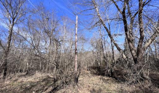 Photo #78 of 657 Collins Mill Rd, Castalia, NC 104.8 acres