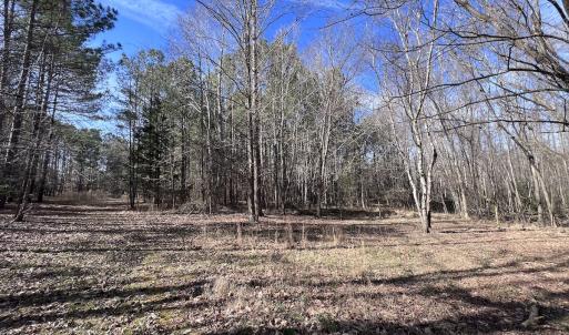 Photo #85 of 657 Collins Mill Rd, Castalia, NC 104.8 acres