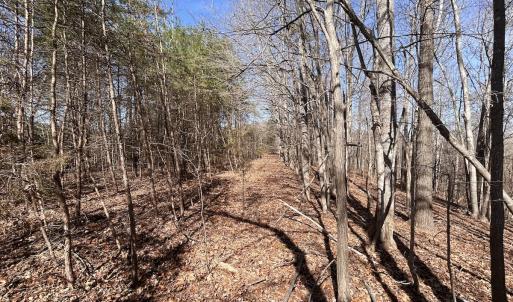 Photo #15 of Off Kemp Ford Rd, Union Hall, VA 7.1 acres