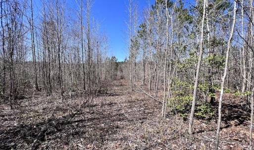 Photo #5 of SOLD property in 05 Beamon Hunt Rd, Warrenton, NC 23.7 acres