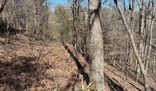 Photo #17 of 1620 Tower Road, Christiansburg, VA 1.0 acres