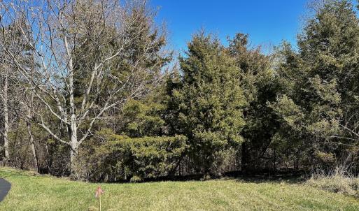 Photo #4 of 1620 Tower Road, Christiansburg, VA 1.0 acres