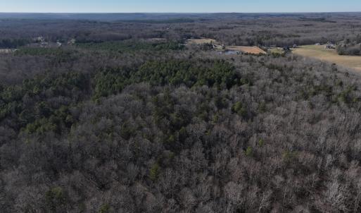 Photo #29 of SOLD property in 1296 Moriah Rd, Rougemont, NC 71.8 acres