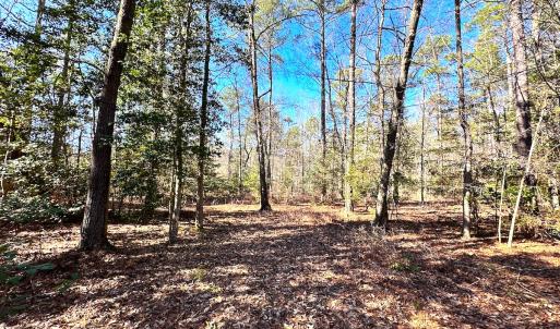 Photo #15 of SOLD property in Off Spring Farm Rd, Dendron, VA 20.0 acres