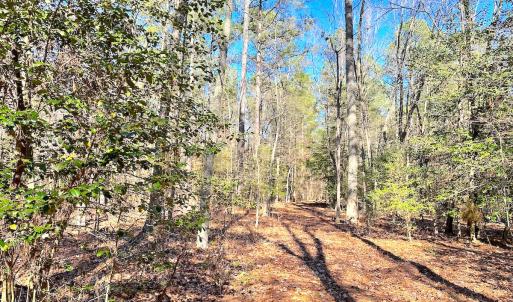 Photo #16 of SOLD property in Off Spring Farm Rd, Dendron, VA 20.0 acres