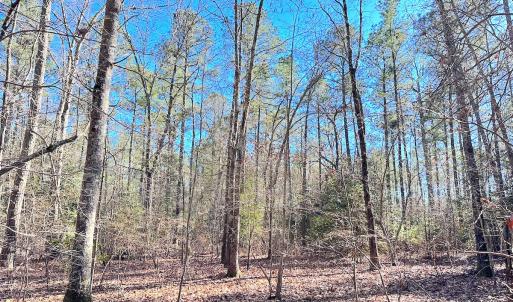 Photo #17 of SOLD property in Off Spring Farm Rd, Dendron, VA 20.0 acres