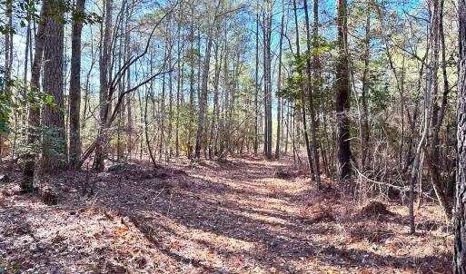 Photo #19 of SOLD property in Off Spring Farm Rd, Dendron, VA 20.0 acres