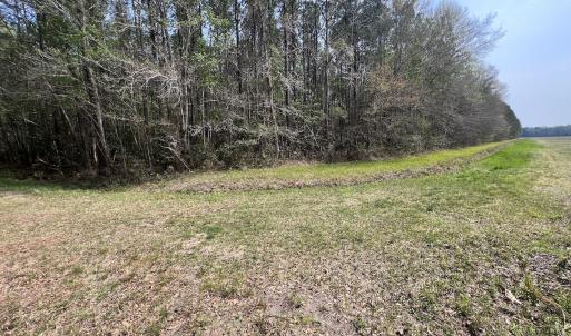 Photo #18 of SOLD property in Off Hwy 306, Grantsboro, NC 31.8 acres