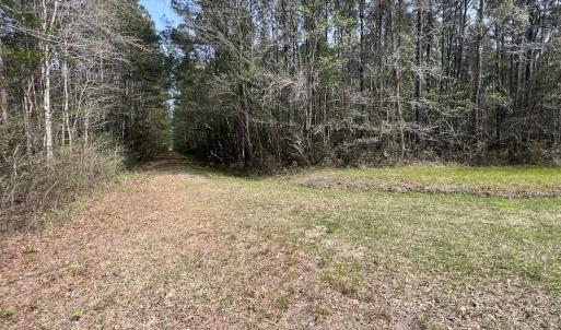 Photo #19 of SOLD property in Off Hwy 306, Grantsboro, NC 31.8 acres