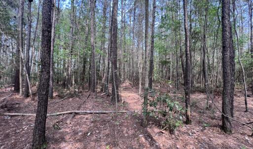 Photo #26 of SOLD property in Off Hwy 306, Grantsboro, NC 31.8 acres