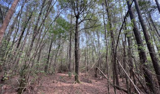 Photo #34 of SOLD property in Off Hwy 306, Grantsboro, NC 31.8 acres