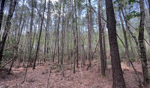 Photo #35 of SOLD property in Off Hwy 306, Grantsboro, NC 31.8 acres