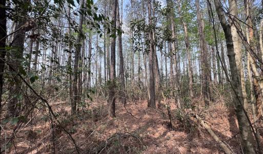 Photo #40 of SOLD property in Off Hwy 306, Grantsboro, NC 31.8 acres