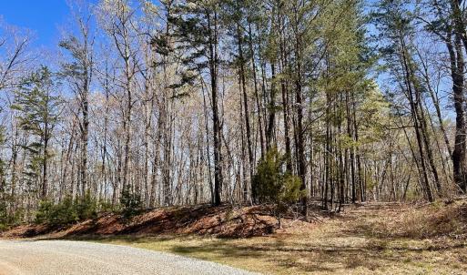 Photo #16 of Off Drawbridge Rd, Pittsville, VA 18.1 acres