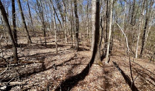 Photo #24 of Off Drawbridge Rd, Pittsville, VA 18.1 acres