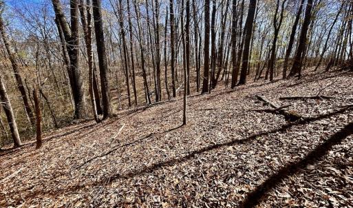 Photo #25 of Off Drawbridge Rd, Pittsville, VA 18.1 acres