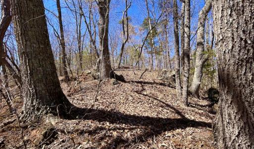 Photo #29 of Off Drawbridge Rd, Pittsville, VA 18.1 acres