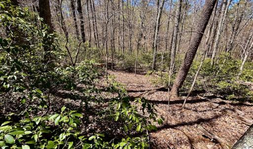 Photo #30 of Off Drawbridge Rd, Pittsville, VA 18.1 acres