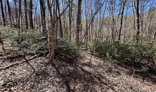 Photo #35 of Off Drawbridge Rd, Pittsville, VA 18.1 acres