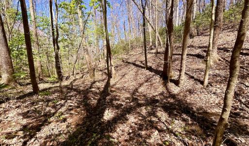 Photo #51 of Off Drawbridge Rd, Pittsville, VA 18.1 acres