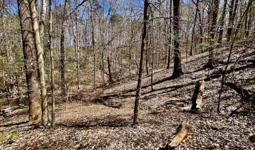 Photo #53 of Off Drawbridge Rd, Pittsville, VA 18.1 acres