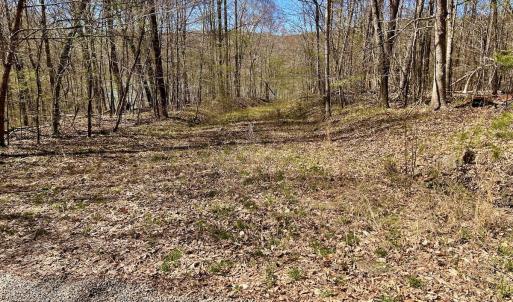 Photo #55 of Off Drawbridge Rd, Pittsville, VA 18.1 acres