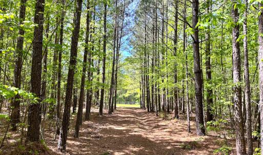Photo #13 of SOLD property in Off Liberty Rd, Alberta, VA 57.8 acres