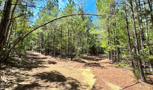 Photo #7 of SOLD property in Off Liberty Rd, Alberta, VA 57.8 acres