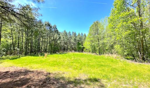 Photo #9 of SOLD property in Off Liberty Rd, Alberta, VA 57.8 acres