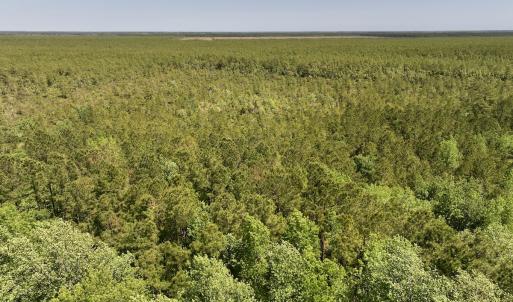 Photo #2 of SOLD property in Off George Road, Havelock, NC 10.4 acres