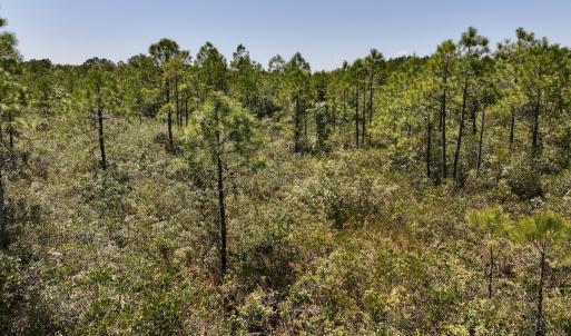 Photo #19 of SOLD property in Off George Road, Havelock, NC 10.4 acres