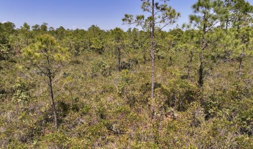 Photo #20 of SOLD property in Off George Road, Havelock, NC 10.4 acres